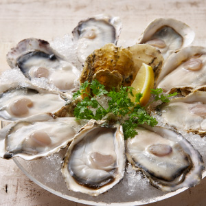 COLD オイスター